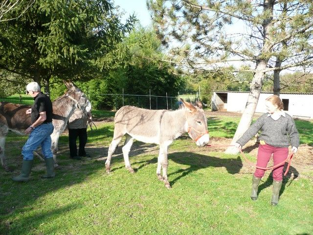 Balthazar et leonard Arrivee (6).jpg